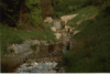 Foto n.5 - Stabilizzazione asta montana del fosso San Selvatico con briglia in gabbioni